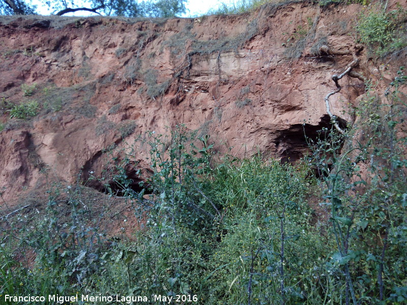 Cuevas de Martn Lechuga - Cuevas de Martn Lechuga. Cueva central y derecha