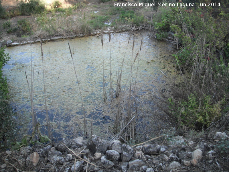 Alberca de Pipe - Alberca de Pipe. 