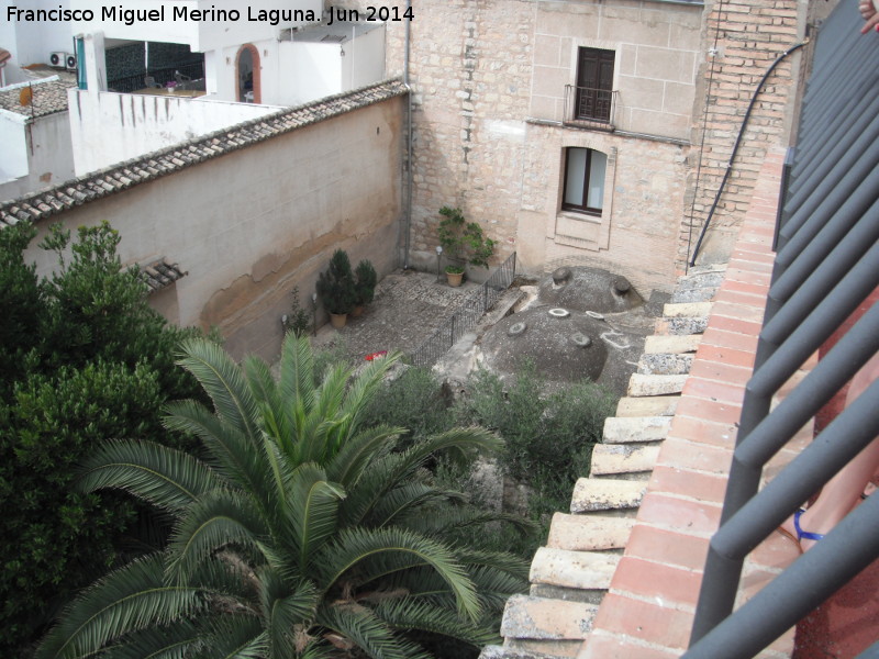 Palacio de Villardompardo - Palacio de Villardompardo. Patio con jardn botnico