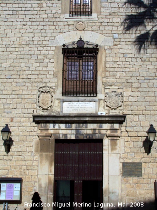 Palacio de Villardompardo - Palacio de Villardompardo. Portada del palacio