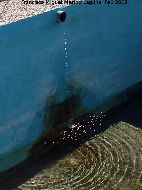 Fuente de El Chaparral - Fuente de El Chaparral. 