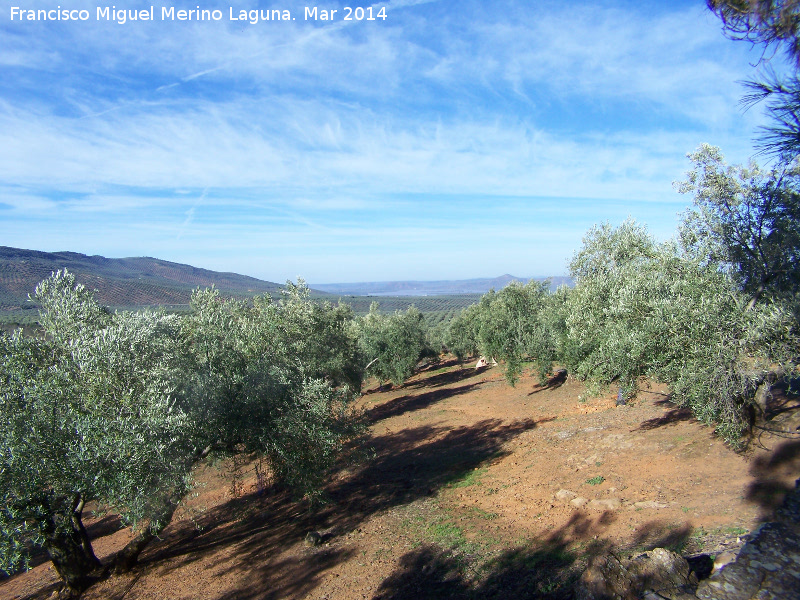 Cortijo Vista Alegre - Cortijo Vista Alegre. Vistas