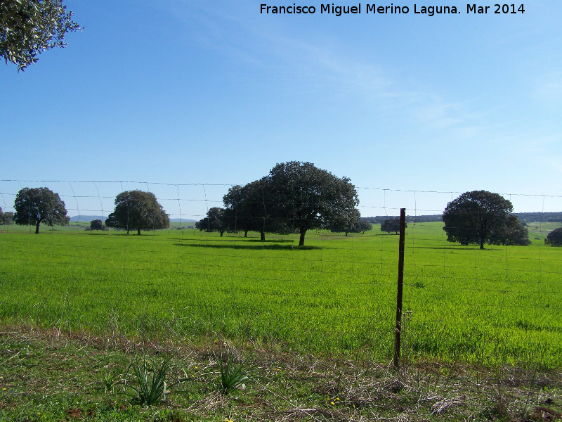 Mancha de Enmedio - Mancha de Enmedio. 