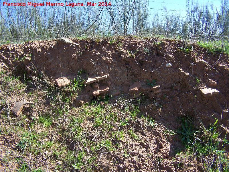 Yacimiento de la Loma del Pino - Yacimiento de la Loma del Pino. Talud saliendo cermica