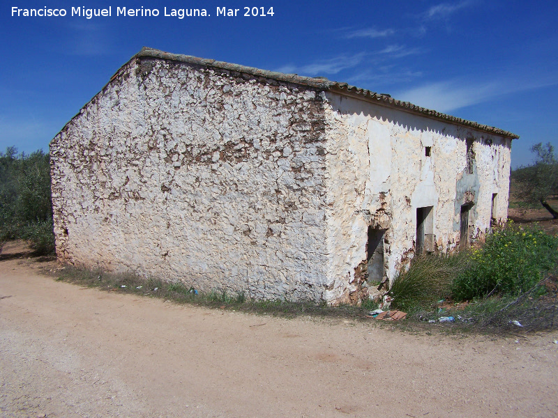 Colonia de Abajo - Colonia de Abajo. 