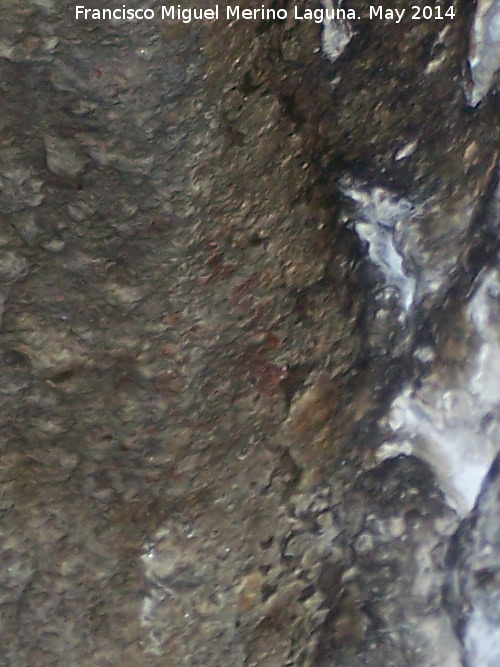 Pinturas rupestres de la Cueva del Montas - Pinturas rupestres de la Cueva del Montas. Mancha derecha