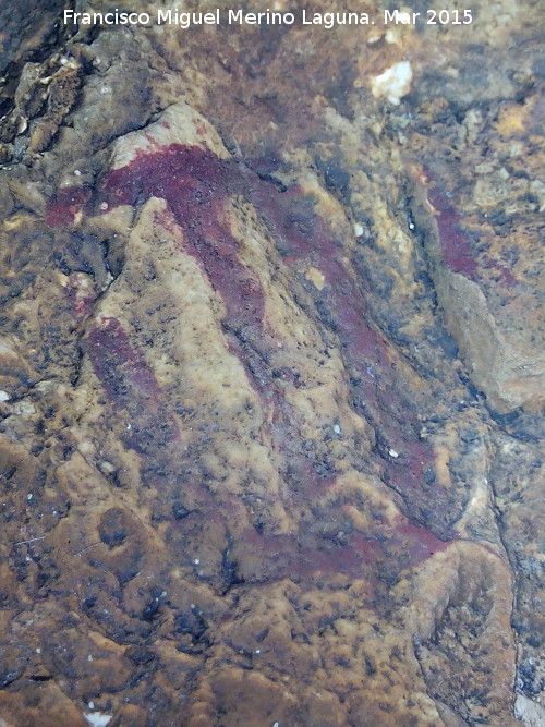 Pinturas rupestres de la Cueva de los Herreros Grupo II - Pinturas rupestres de la Cueva de los Herreros Grupo II. Figura reticulada