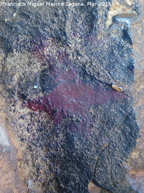 Pinturas rupestres de la Cueva de los Herreros Grupo VI - Pinturas rupestres de la Cueva de los Herreros Grupo VI. Cruciforme