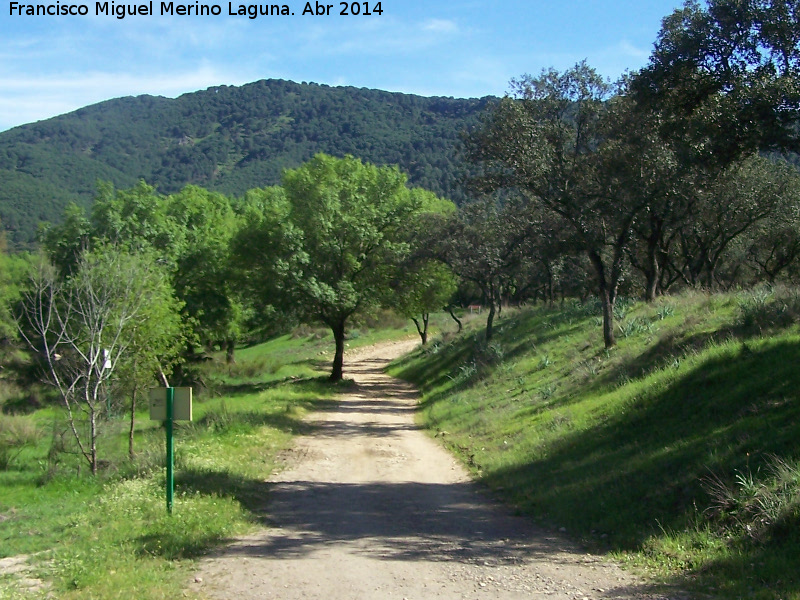 Camino Viejo - Camino Viejo. 