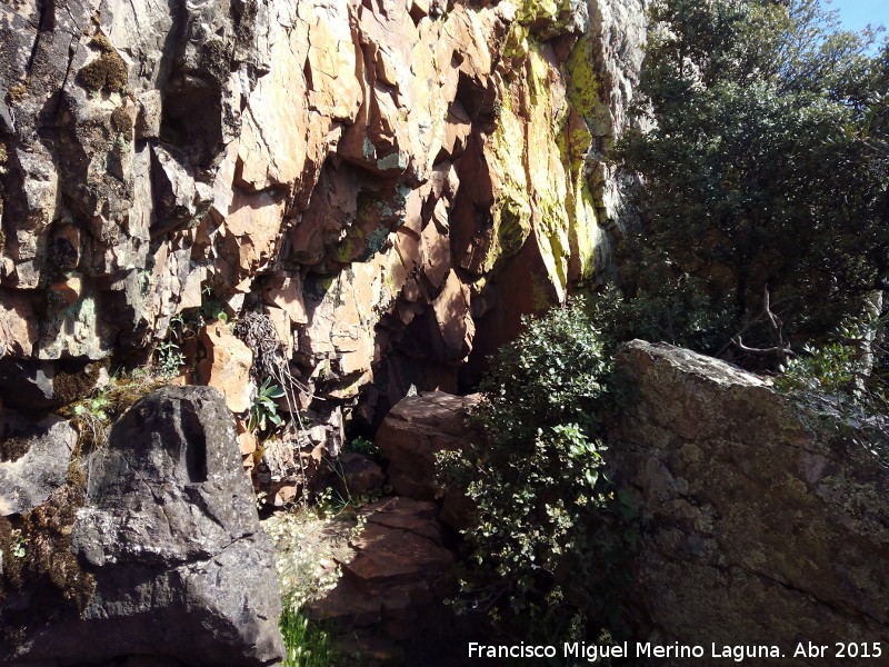 Pinturas rupestres del Abrigo Pequeo de la Cueva del Santo - Pinturas rupestres del Abrigo Pequeo de la Cueva del Santo. Abrigo