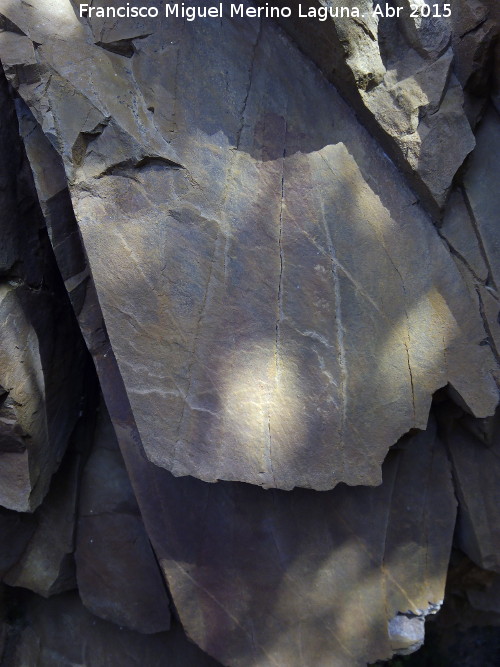 Pinturas rupestres del Abrigo Pequeo de la Cueva del Santo - Pinturas rupestres del Abrigo Pequeo de la Cueva del Santo. Panel