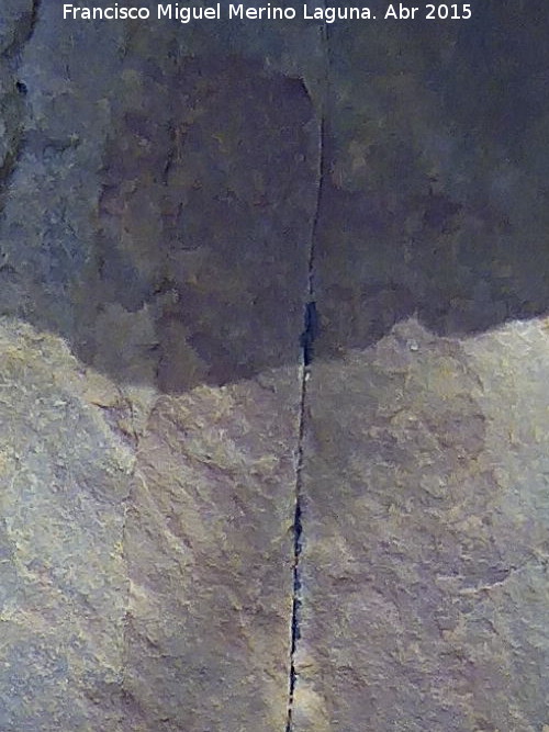 Pinturas rupestres del Abrigo Pequeo de la Cueva del Santo - Pinturas rupestres del Abrigo Pequeo de la Cueva del Santo. Ramiforme superior
