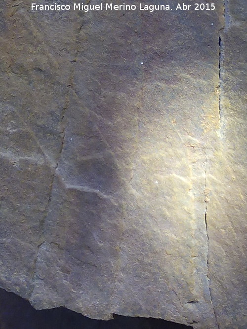 Pinturas rupestres del Abrigo Pequeo de la Cueva del Santo - Pinturas rupestres del Abrigo Pequeo de la Cueva del Santo. Ramiforme central