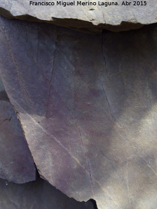 Pinturas rupestres del Abrigo Pequeo de la Cueva del Santo - Pinturas rupestres del Abrigo Pequeo de la Cueva del Santo. Ramiforme inferior