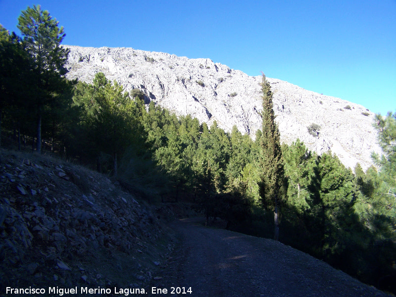 Cresta del Diablo - Cresta del Diablo. 