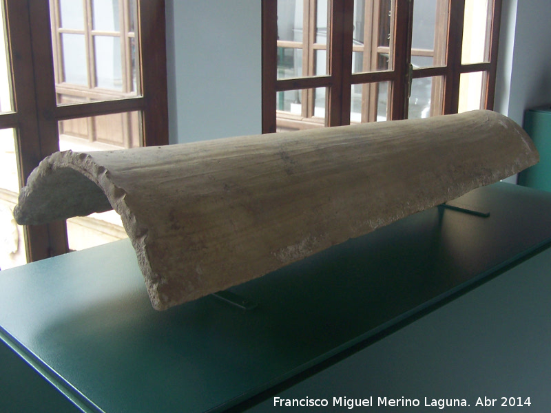 Teja romana - Teja romana. Museo Arqueolgico Profesor Sotomayor - Andjar