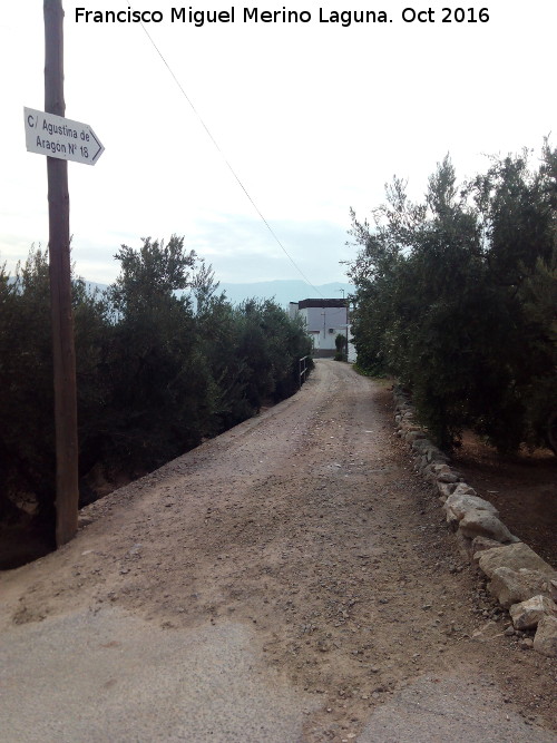 Calle Agustina de Aragn - Calle Agustina de Aragn. Ya como carril