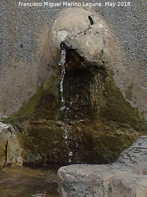 Fuente de la Plaza de San Rafael - Fuente de la Plaza de San Rafael. Cao