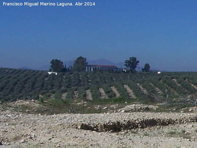 Cortijo Nuevo de la Laguna - Cortijo Nuevo de la Laguna. 