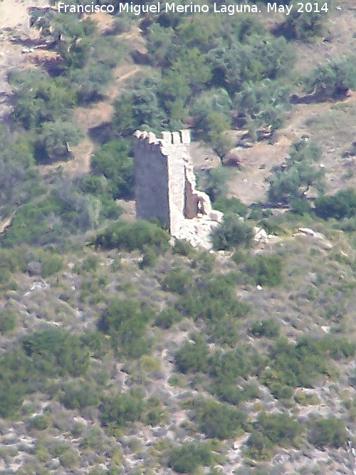 Torren falso de guilas - Torren falso de guilas. 