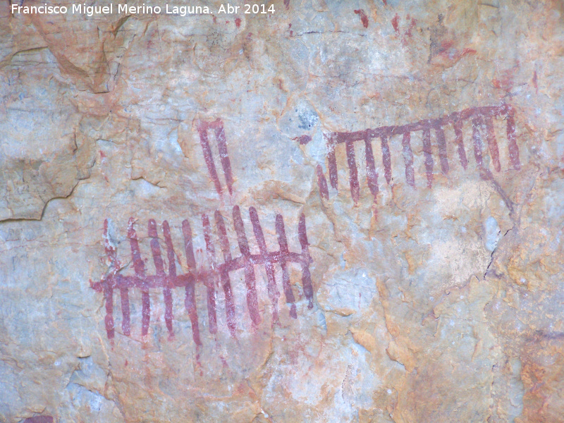 Pinturas rupestres de la Pea Escrita. Grupo IV - Pinturas rupestres de la Pea Escrita. Grupo IV. Pectiniformes