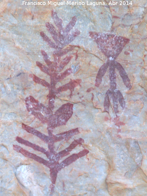 Pinturas rupestres de la Pea Escrita. Grupo IV - Pinturas rupestres de la Pea Escrita. Grupo IV. Ramiforme y antropomorfo triangular