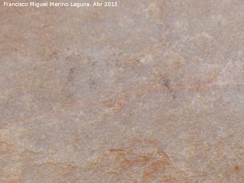 Pinturas rupestres del Abrigo de los rganos II - Pinturas rupestres del Abrigo de los rganos II. Restos de pectiniforme