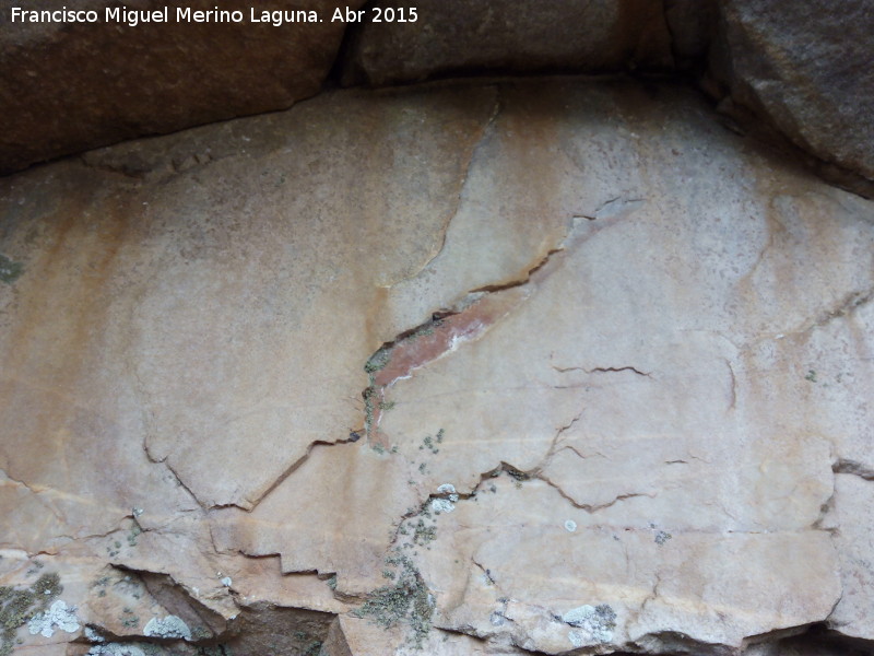 Pinturas rupestres del Abrigo de los rganos IV - Pinturas rupestres del Abrigo de los rganos IV. Panel