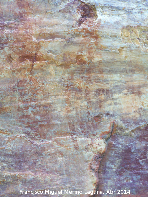 Pinturas rupestres de La Batanera III - Pinturas rupestres de La Batanera III. Figura 5 y 6