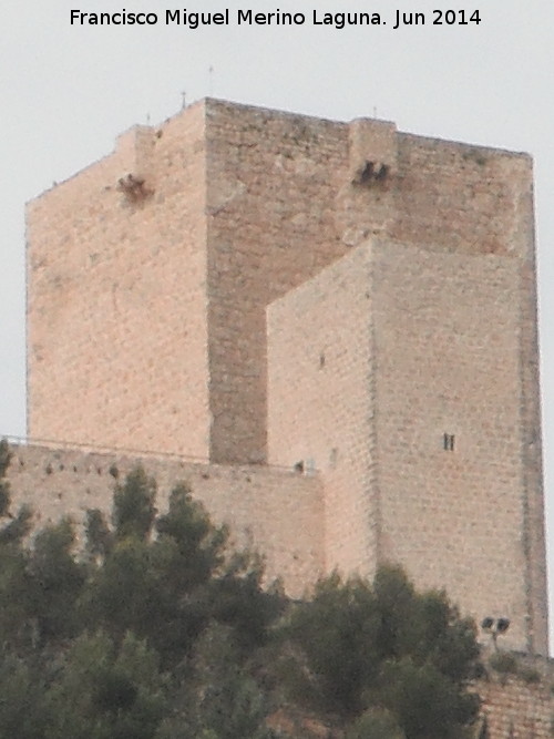 Castillo Nuevo de Santa Catalina. Torre del Homenaje - Castillo Nuevo de Santa Catalina. Torre del Homenaje. 