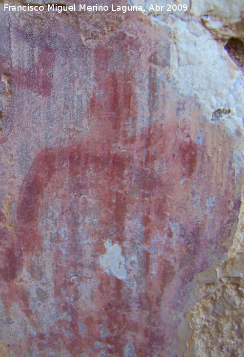 Pinturas rupestres del Frontn V - Pinturas rupestres del Frontn V. Antropomorfo inferior derecho