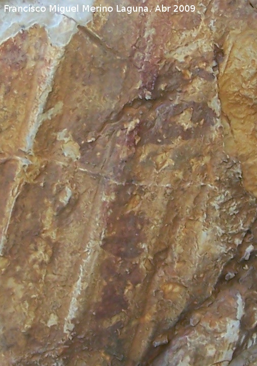 Pinturas rupestres del Frontn II - Pinturas rupestres del Frontn II. Figura en rojo oscuro de la parte derecha