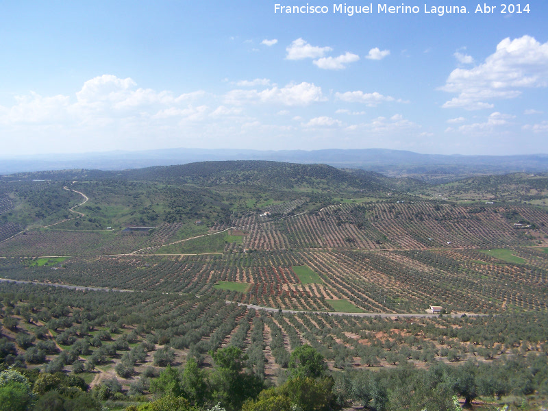 Loma del Pino - Loma del Pino. Desde Las Yeseras