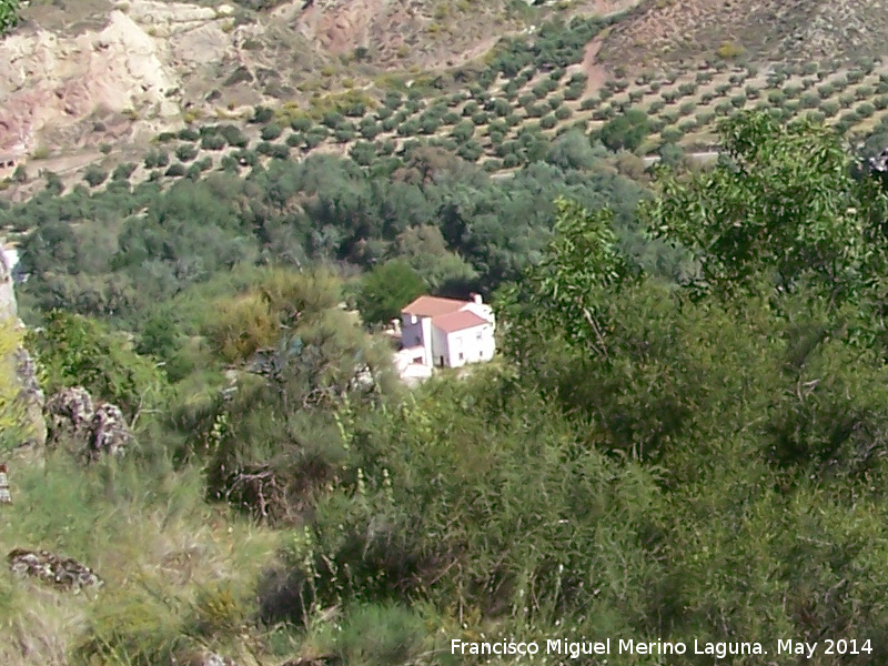 Cortijo de la Torre de la Condesa - Cortijo de la Torre de la Condesa. 