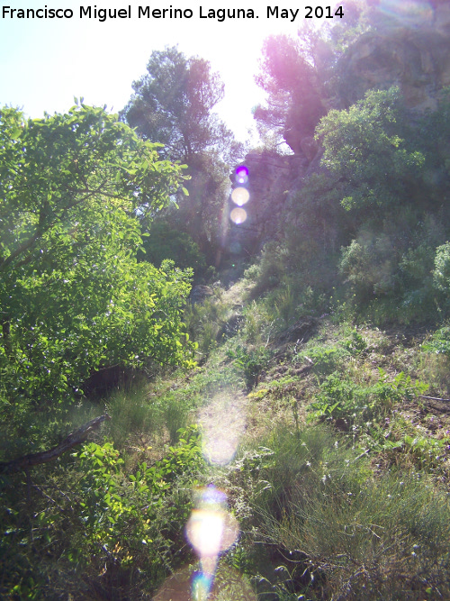 Cerro de la Condesa - Cerro de la Condesa. 