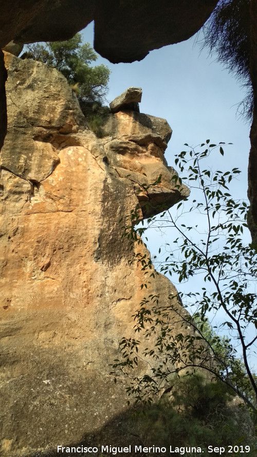 Cerro de la Condesa - Cerro de la Condesa. 