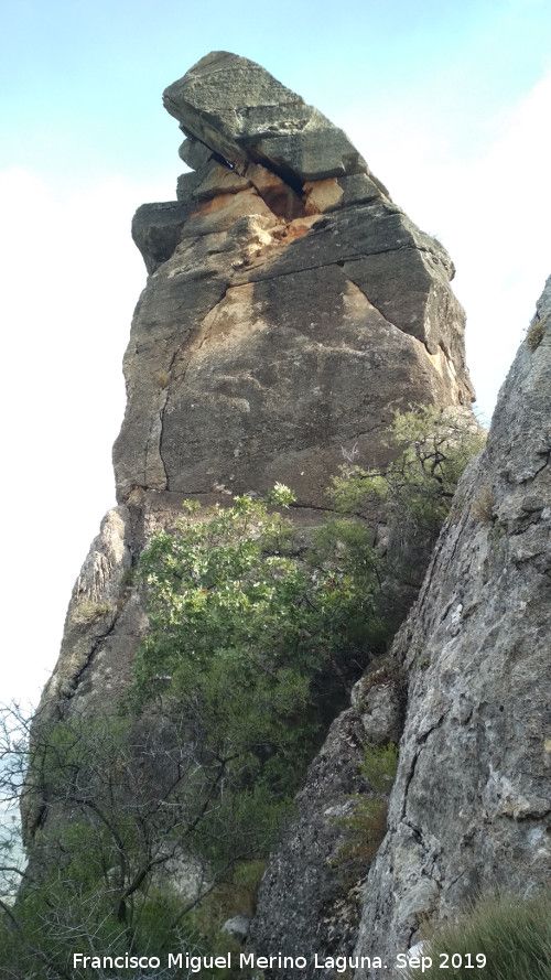 Cerro de la Condesa - Cerro de la Condesa. 