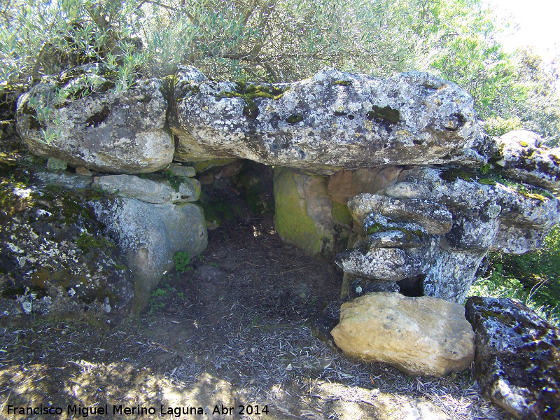 Dolmen del Encinarejo - Dolmen del Encinarejo. 