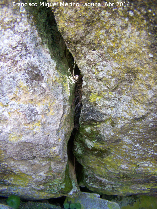 Dolmen del Encinarejo - Dolmen del Encinarejo. Piedra partida