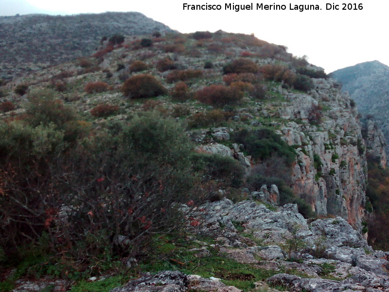 Poblado prehistrico del Cerro Veleta - Poblado prehistrico del Cerro Veleta. 