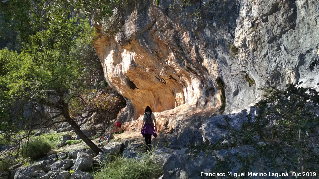 Pinturas rupestres del Abrigo del Almendro - Pinturas rupestres del Abrigo del Almendro. Abrigo