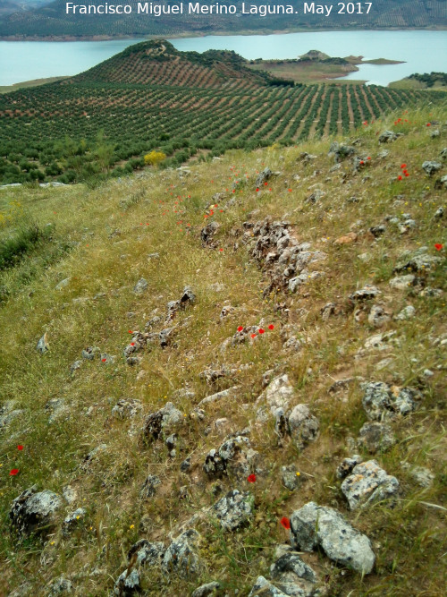 Oppidum de Giribaile. Gran Muralla - Oppidum de Giribaile. Gran Muralla. 