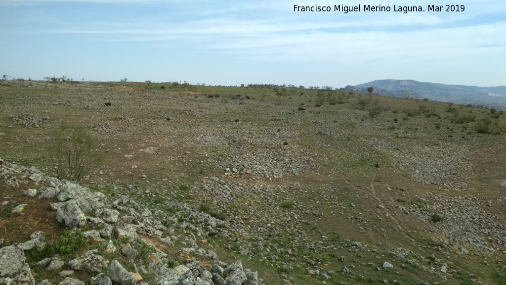 Oppidum de Giribaile. Gran Muralla - Oppidum de Giribaile. Gran Muralla. Vista a intramuros