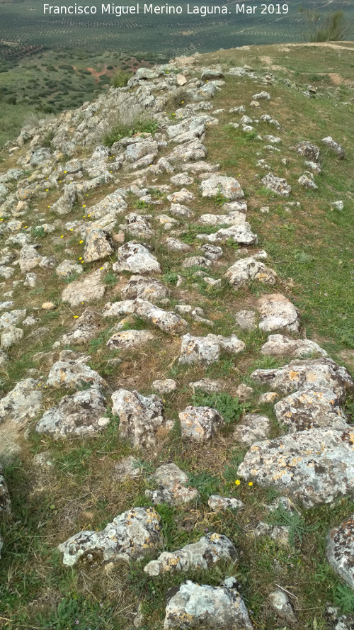 Oppidum de Giribaile. Muralla Norte - Oppidum de Giribaile. Muralla Norte. Muralla de la Muela