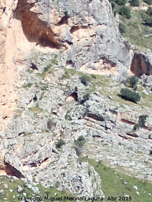 Pinturas rupestres de la Cueva Escondida de los Caones - Pinturas rupestres de la Cueva Escondida de los Caones. Bajo el Abrigo de la Base