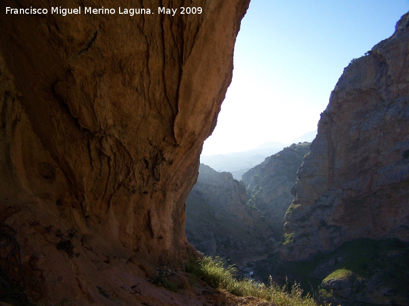 Pinturas rupestres del Abrigo de los Ca�ones IV - Pinturas rupestres del Abrigo de los Ca�ones IV. 