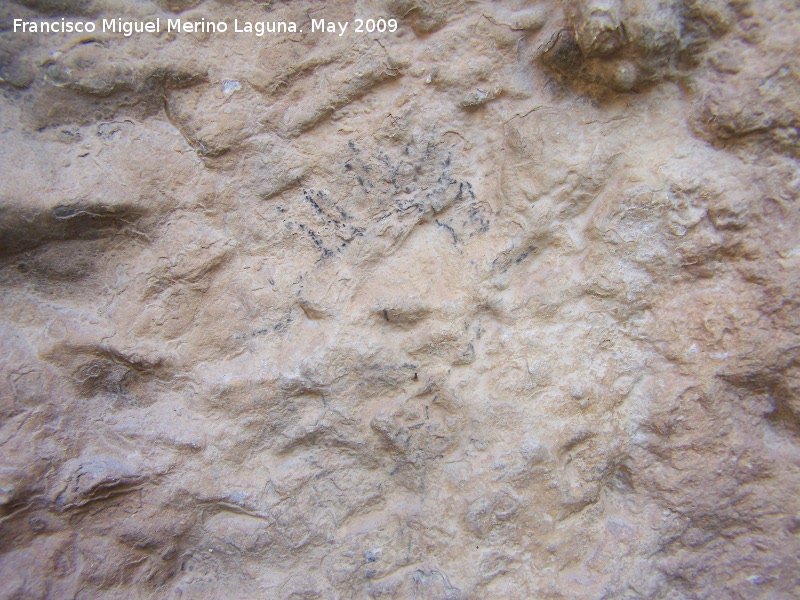 Pinturas rupestres del Abrigo de los Caones IV - Pinturas rupestres del Abrigo de los Caones IV. Graffiti actual