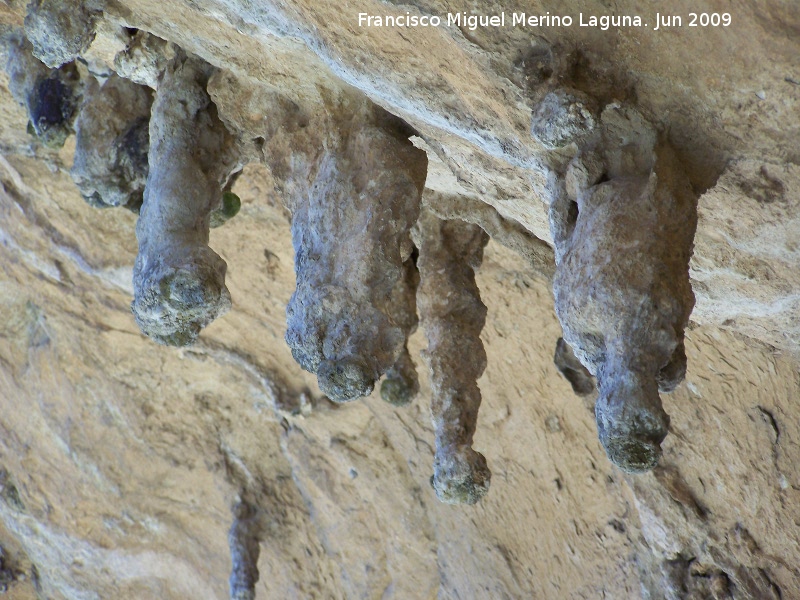 Pinturas rupestres del Abrigo de los Ca�ones IV - Pinturas rupestres del Abrigo de los Ca�ones IV. Estalactitas