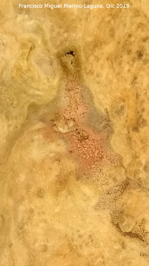 Pinturas rupestres del Abrigo de los Caones IV - Pinturas rupestres del Abrigo de los Caones IV. Pintura