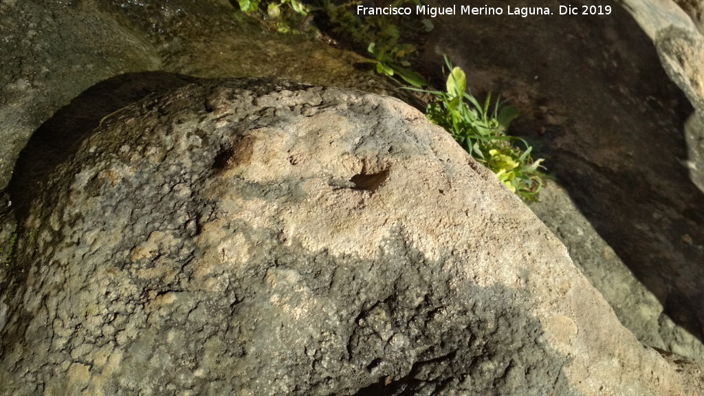Pinturas rupestres del Abrigo de los Caones IV - Pinturas rupestres del Abrigo de los Caones IV. Una de las cazoletas menores